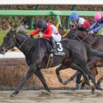 ［リーディング］ルメール騎手が復帰初週から4勝で5位タイに　調教師は福永師が一歩抜け出す