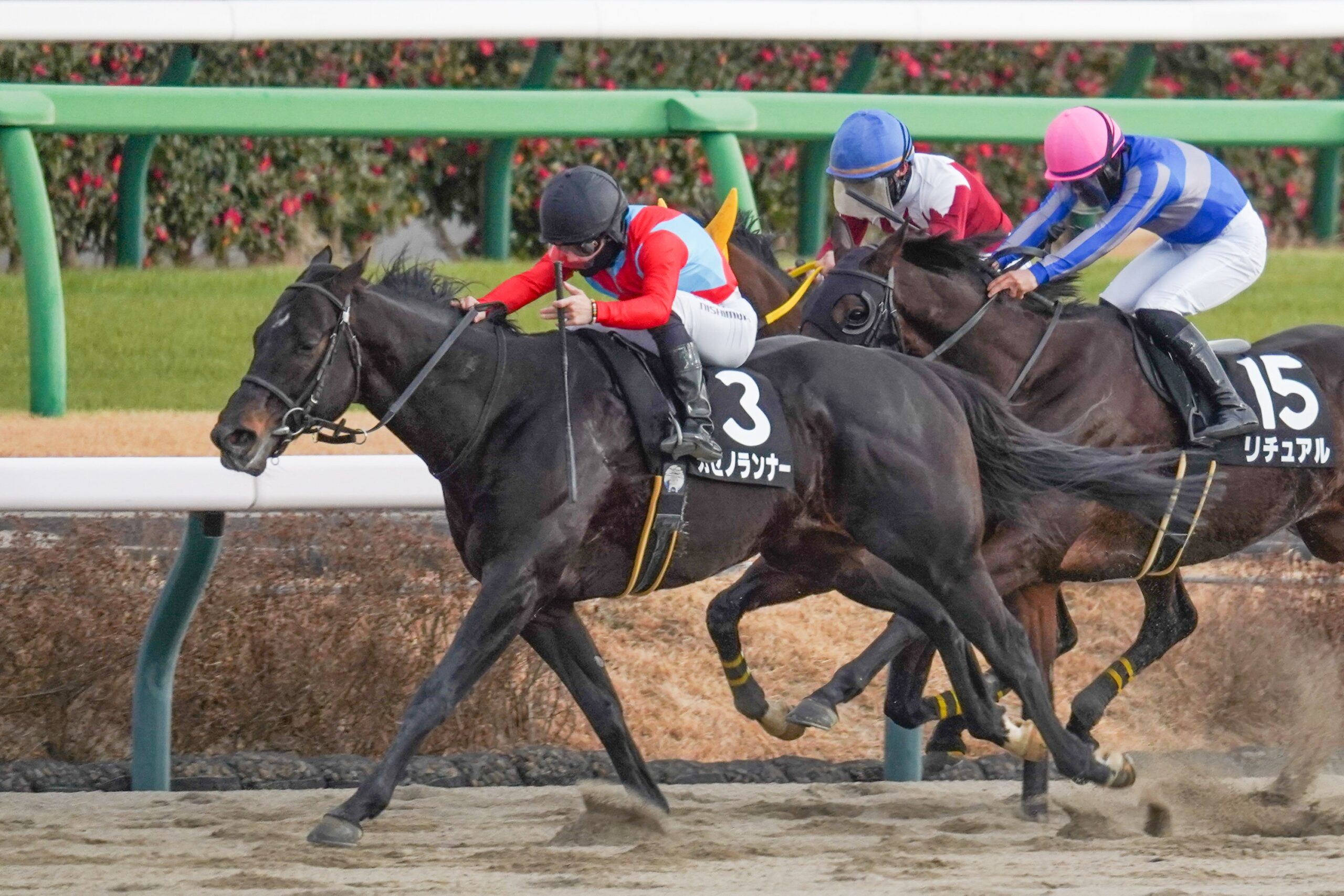 ［リーディング］ルメール騎手が復帰初週から4勝で5位タイに　調教師は福永師が一歩抜け出す