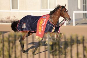 ［重賞回顧］最内から魅せた”雷撃”～2026年・シンザン記念～ 