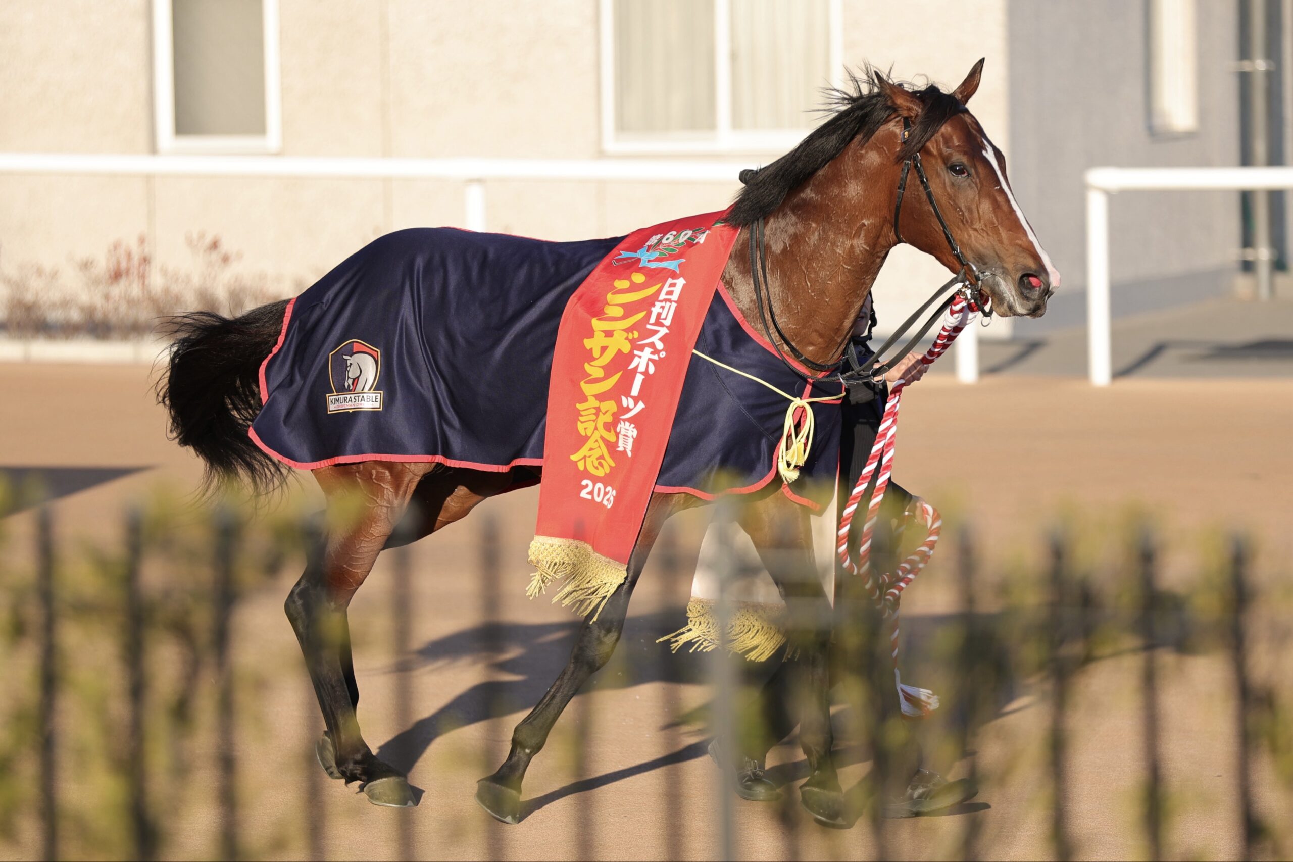 ［重賞回顧］最内から魅せた”雷撃”～2026年・シンザン記念～ 