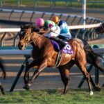 元気いっぱい、駆け抜けた&nbsp;-&nbsp;第90代日本ダービー馬、タスティエーラの引退に寄せて