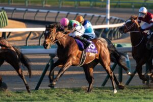 元気いっぱい、駆け抜けた - 第90代日本ダービー馬、タスティエーラの引退に寄せて