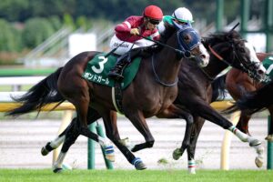 ［今週の競馬］AJCC、プロキオンS、小倉牝馬Sが開催。小倉牝馬Sではジョスランやココナッツブラウン、ボンドガールらが重賞初制覇を目指す
