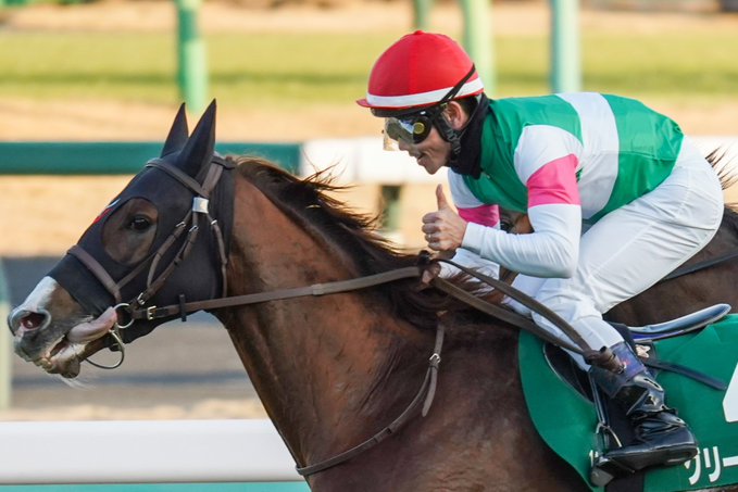 ［重賞回顧］競り合い断ち切る豪脚炸裂！～2026年・京成杯～&nbsp;