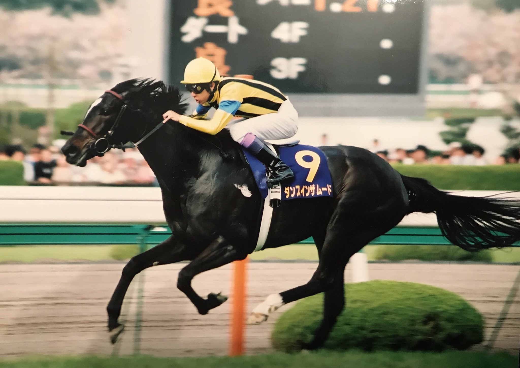 ［追悼エッセイ］ある少年一家とダンス一族のお話〜ダンスインザムードの訃報によせて〜