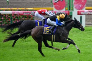 ［今週の競馬］今週は春の女王決定戦！二冠牝馬エンブロイダリー＆チェルヴィニア、オークス馬カムニャックが激突。土曜新潟では名手たちの激突も