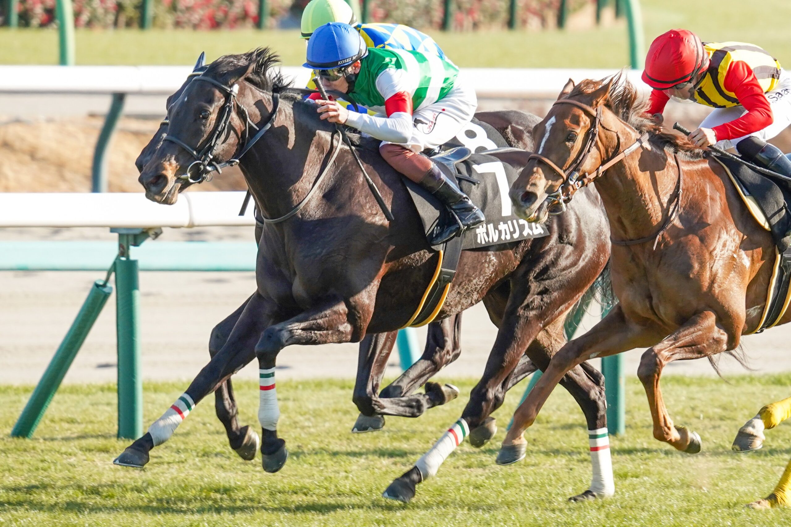 ［リーディング］ルメール騎手が5勝をあげ、トップの戸崎騎手に急接近　武幸四郎厩舎からは2週続けて牝馬クラシックの有力候補が誕生