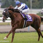 ［追悼・ダイワメジャー］メジャーとダンスの華やかな「ふたり舞台」　