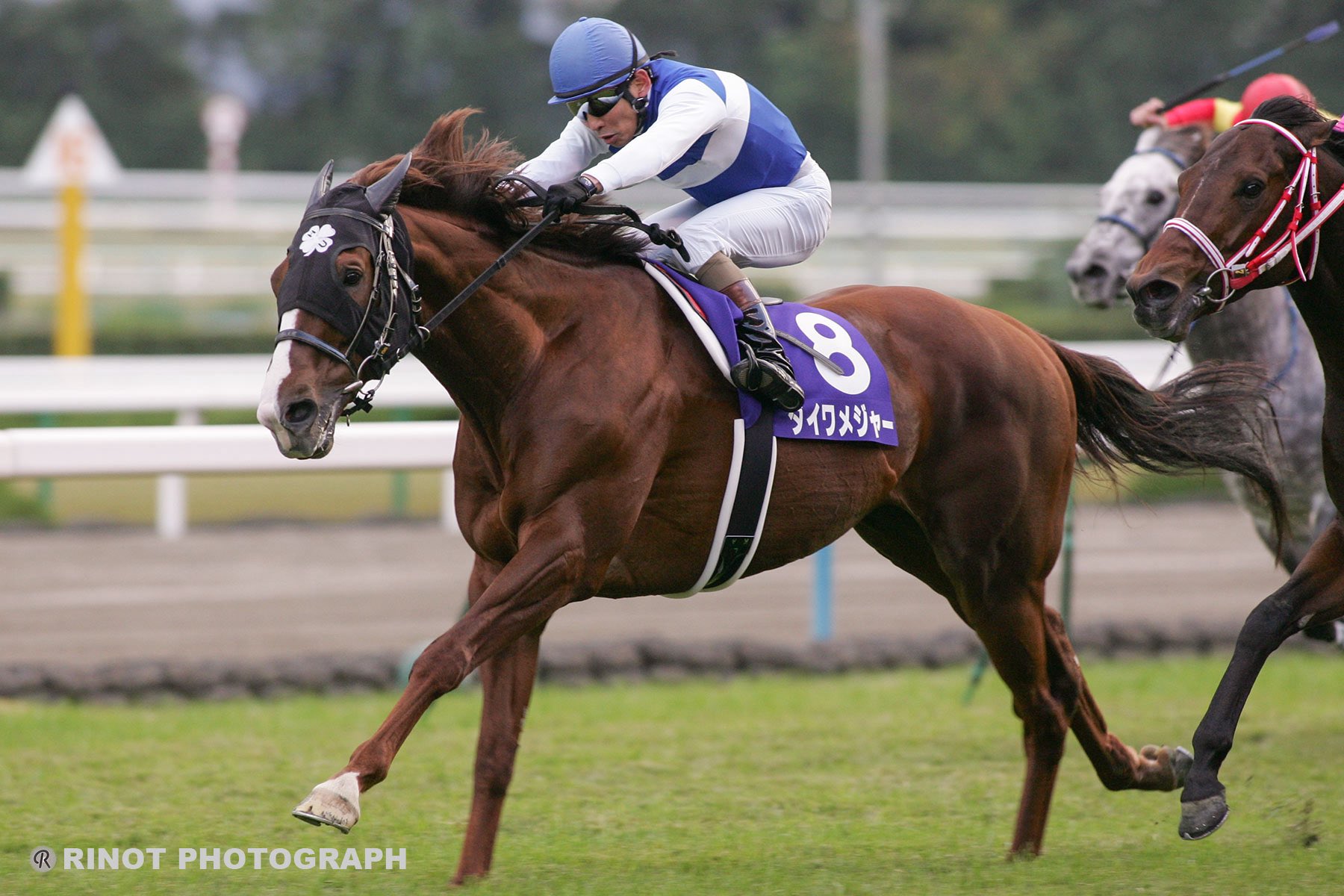 ［追悼・ダイワメジャー］メジャーとダンスの華やかな「ふたり舞台」　