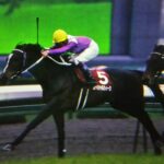 ［AJCC］ミホシンザン、スペシャルウィーク、ダノンデサイル。AJCCで意地を見せたクラシックホースたち