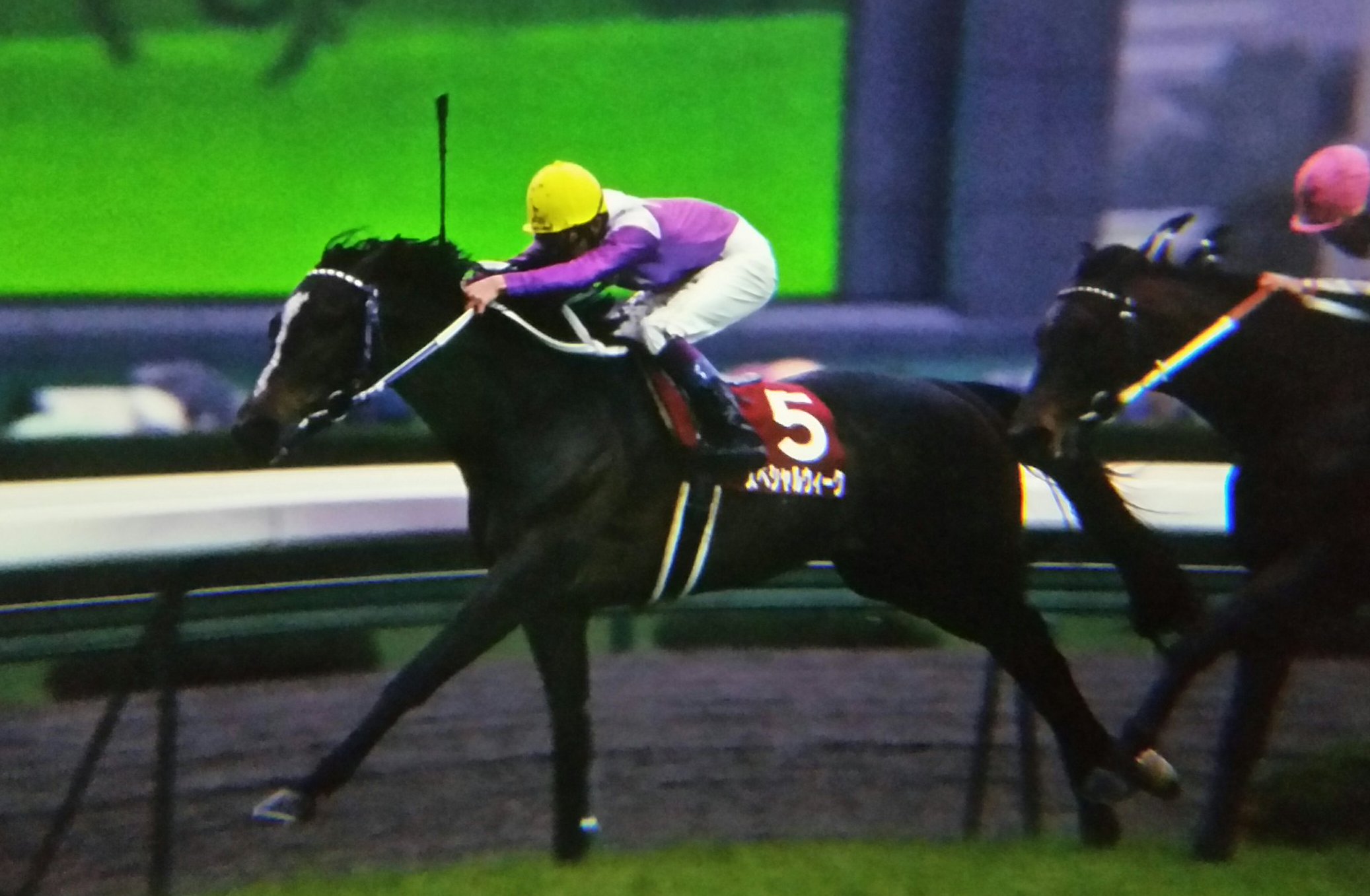 ［AJCC］ミホシンザン、スペシャルウィーク、ダノンデサイル。AJCCで意地を見せたクラシックホースたち