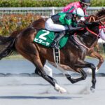 ［今週の競馬］今年最初の東京開催がスタート　東西にそれぞれの大舞台を見据えた実力馬が集結