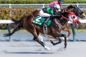 ［今週の競馬］今年最初の東京開催がスタート　東西にそれぞれの大舞台を見据えた実力馬が集結