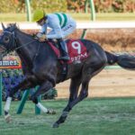 ［重賞回顧］4歳エースを巧みなリードで勝利へ導く～2026年・アメリカジョッキークラブカップ～ 