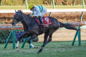 ［重賞回顧］4歳エースを巧みなリードで勝利へ導く～2026年・アメリカジョッキークラブカップ～ 