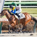 ［リーディング］ルメール騎手がリーディング単独トップへ！キング騎手は来日初週から5勝の固め打ち