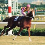 尾花栗毛が冬の枯芝に輝いた！　「この馬は競馬を知っている」と感じさせた名馬、トウショウファルコ