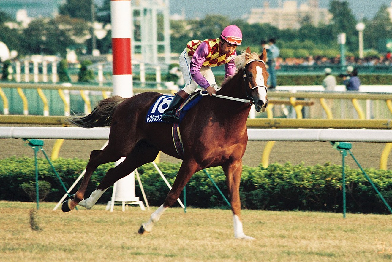尾花栗毛が冬の枯芝に輝いた! 「この馬は競馬を知っている」と感じさせた名馬、トウショウファルコ
