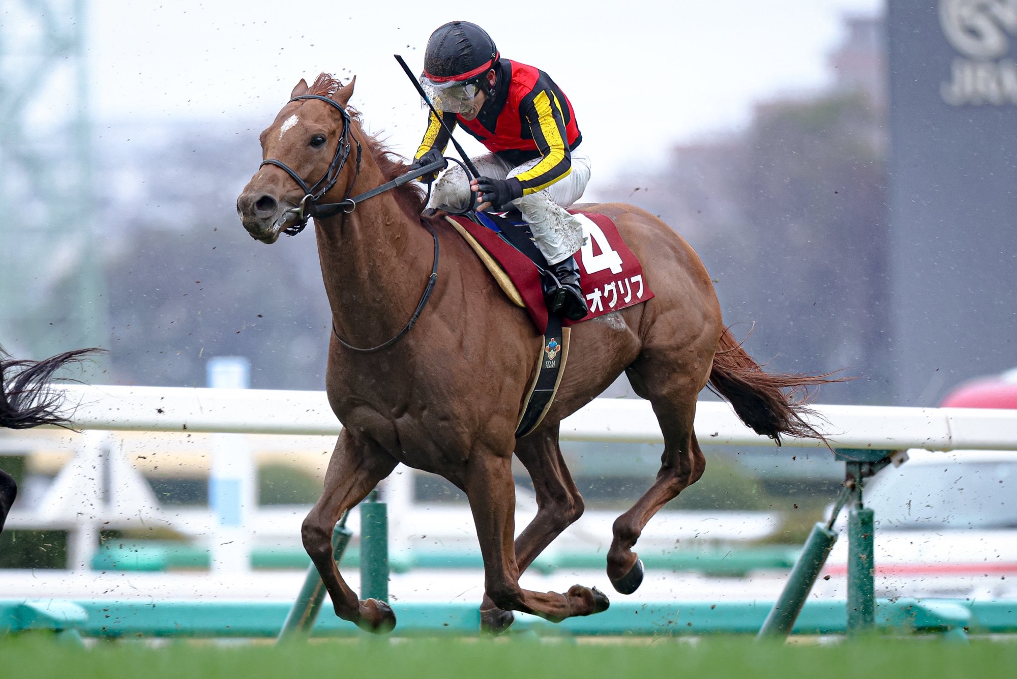 ２つの光の「あわい」で静かに輝く。「地上絵」を描き続けた孤高の旅人、ジオグリフ