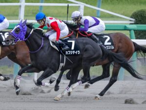 ［根岸S］ブロードアピール、シルクフォーチュン、カフジテイク。根岸Sで驚異の追込みを決めた馬たち
