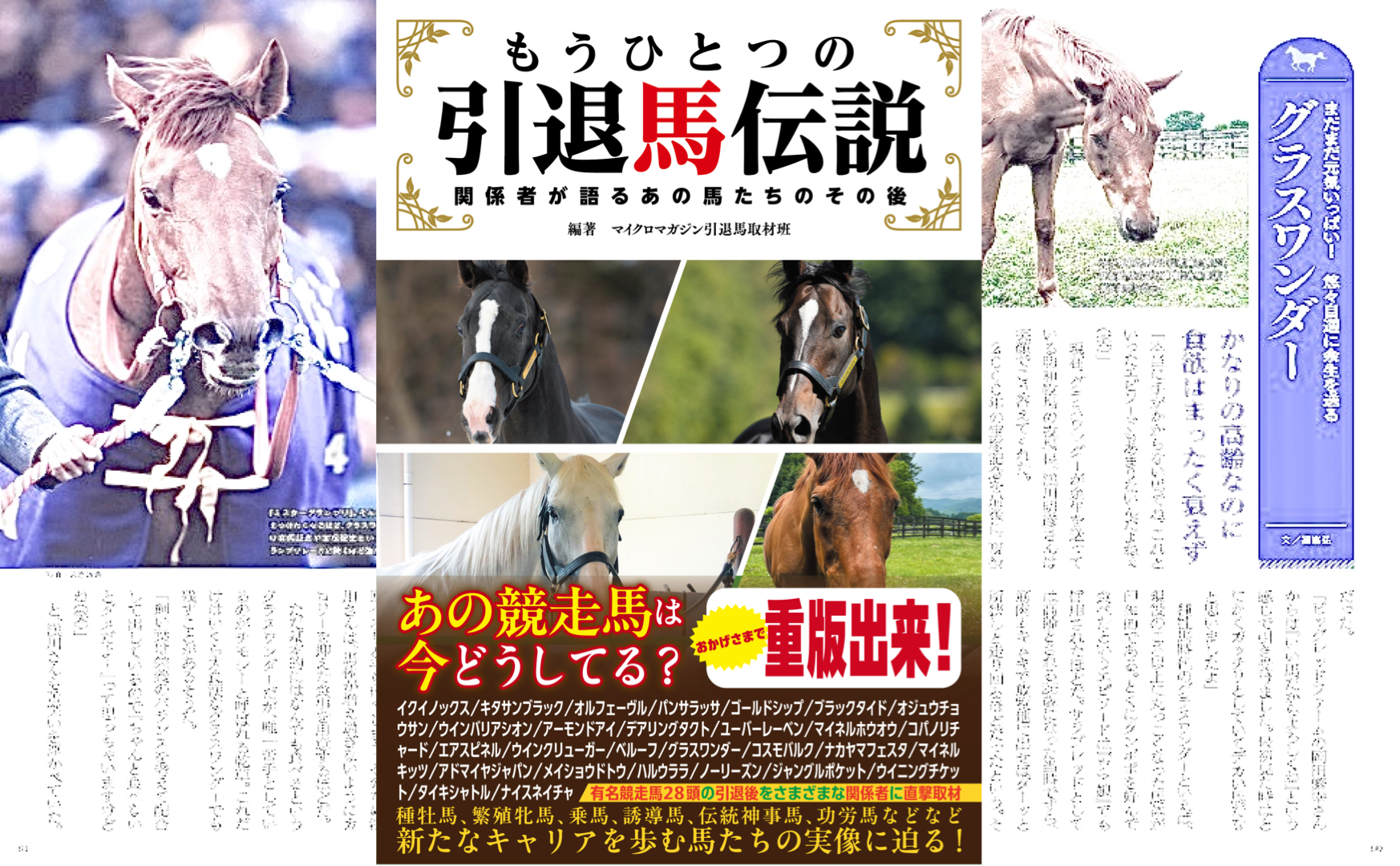［重版出来］和田竜二騎手、国枝調教師、今浪元厩務員らに取材。著名馬28頭の引退後の素顔を取材した『もうひとつの引退馬伝説～関係者が語るあの馬たちのその後』が重版！