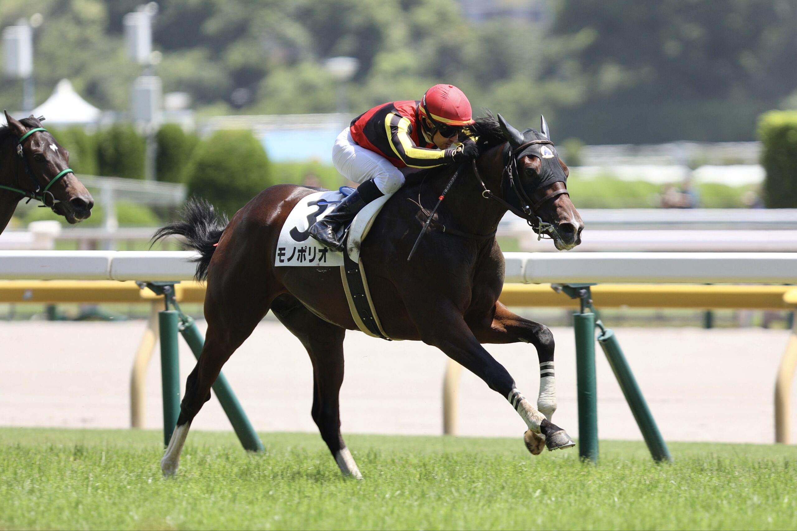 ［今週の競馬］今週の中央競馬は3日間開催！　東西でクラシックを占う重要な一戦