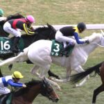 マルガ、アロンズロッド…アイドルホース候補たちが集結した、バレンタインデーの東京競馬場を巡る