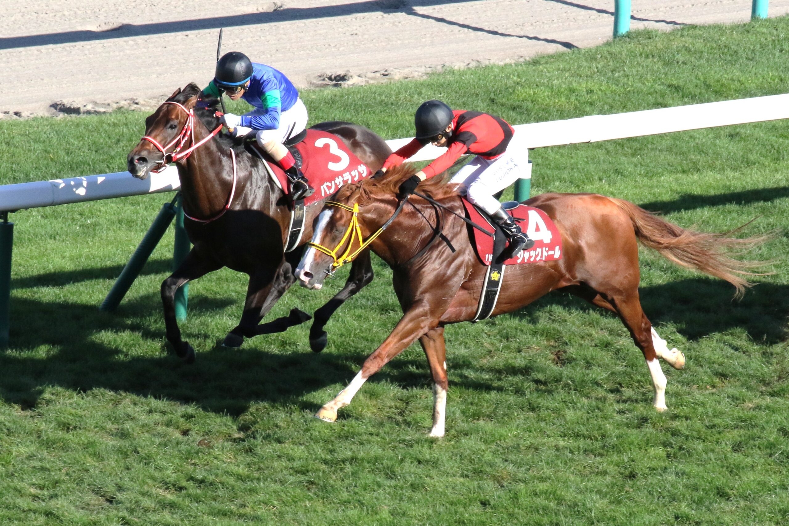 『世界の』パンサラッサが、風になった瞬間 - 2022年中山記念