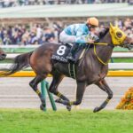 ［今週の競馬］東は安田記念を見据えた東京新聞杯、西は3歳登竜門のきさらぎ賞
