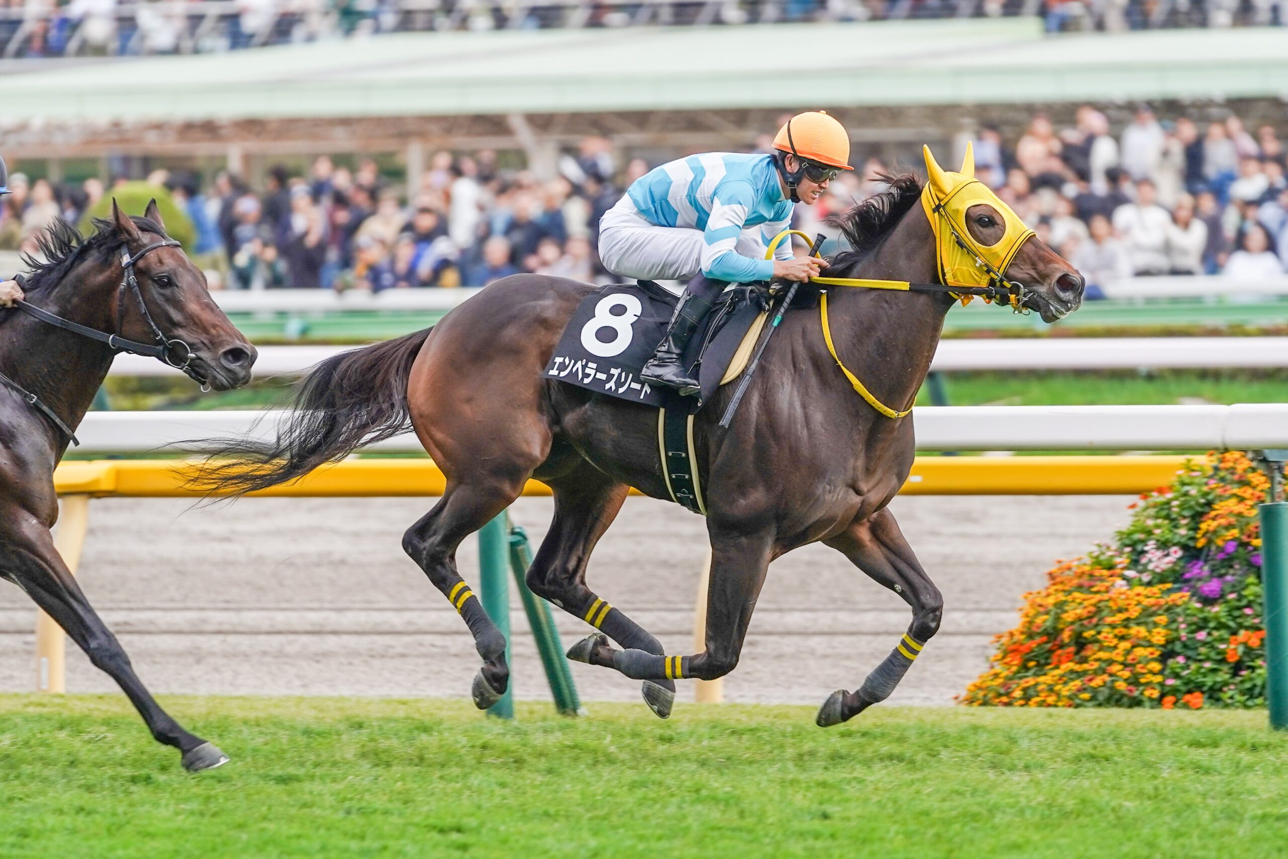 ［今週の競馬］東は安田記念を見据えた東京新聞杯、西は3歳登竜門のきさらぎ賞