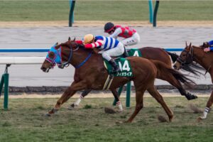 ［リーディング］騎手リーディングが一気変動！　岩田望来騎手が2日で9勝し首位へ　ルメール騎手も5勝