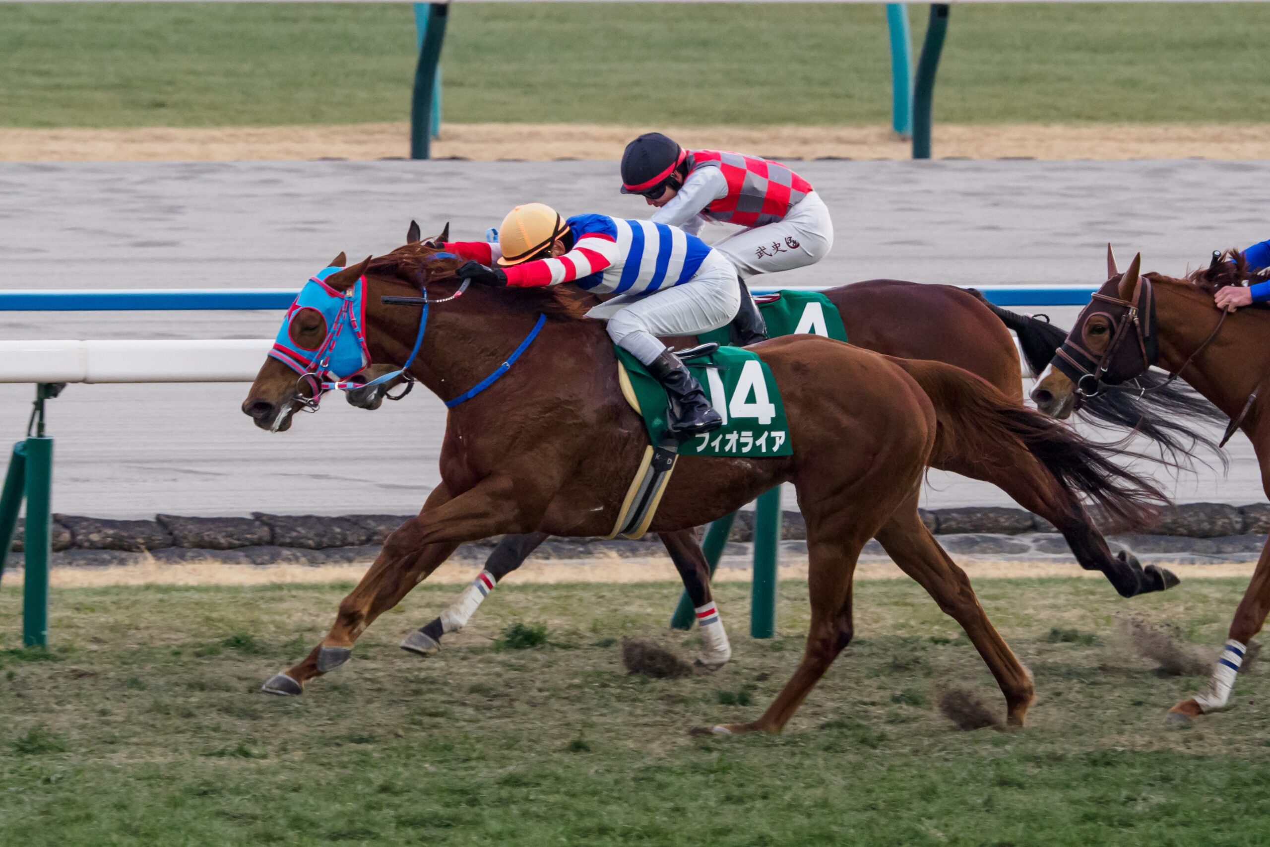 ［リーディング］騎手リーディングが一気変動！　岩田望来騎手が2日で9勝し首位へ　ルメール騎手も5勝