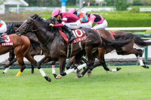 ［今週の競馬］国内は各地で春の大舞台を見据える重賞が開催　エリキング、ヘデントールが激突