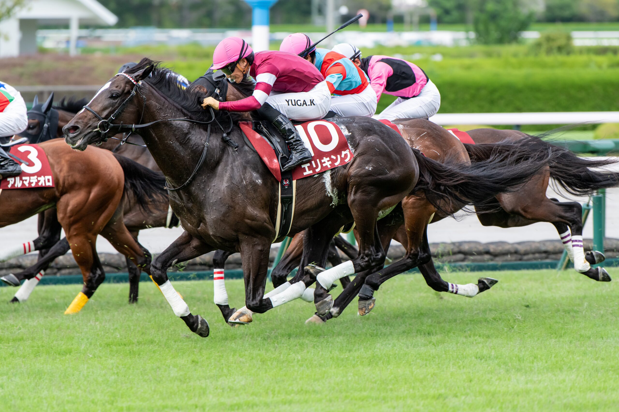 ［今週の競馬］国内は各地で春の大舞台を見据える重賞が開催　エリキング、ヘデントールが激突