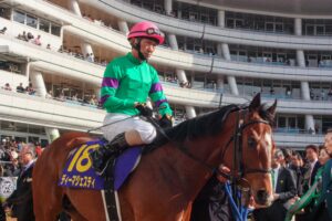 ［共同通信杯］イスラボニータ、ハンソデバンド、ディーマジェスティ。蛯名正義騎手とのコンビで共同通信杯を制した馬たち