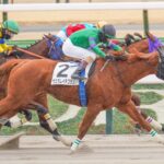 ［リーディング］リーディング以外の箇所で記録樹立も多数　騎手部門はルメール騎手が首位に返り咲く