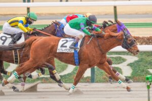 ［リーディング］リーディング以外の箇所で記録樹立も多数　騎手部門はルメール騎手が首位に返り咲く