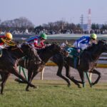 ［重賞回顧］小春日和の府中に輝く天狼星！～2026年・共同通信杯～ 