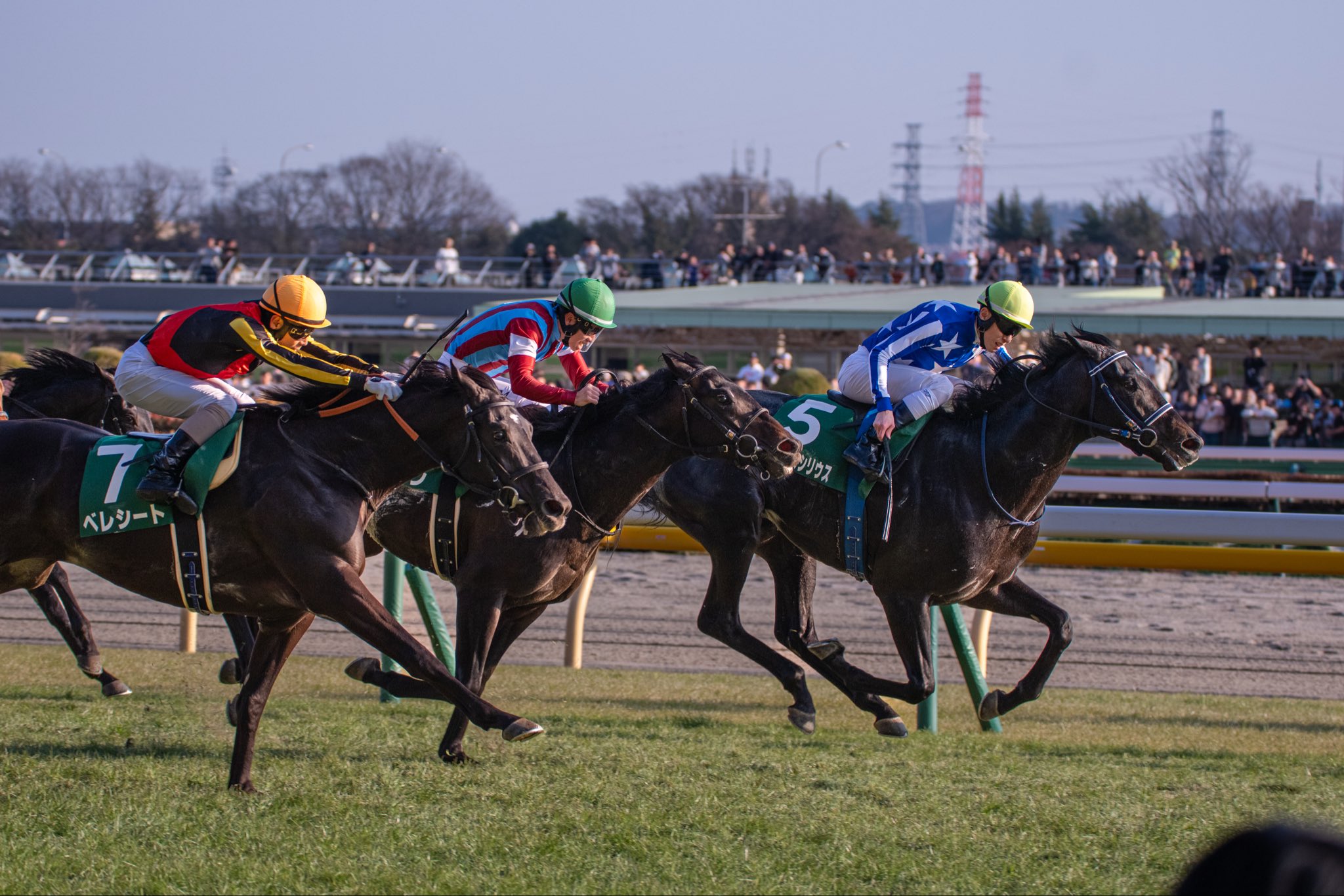 ［重賞回顧］小春日和の府中に輝く天狼星！～2026年・共同通信杯～ 