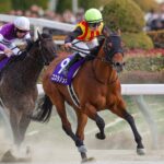 ［今週の競馬］中央競馬で今年最初のG1・フェブラリーステークスが開催　第1回阪神競馬も開幕
