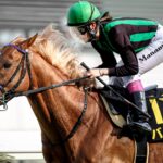 陽だまりの逃亡者。金色の季節を走り抜けたバビットの引退に寄せて