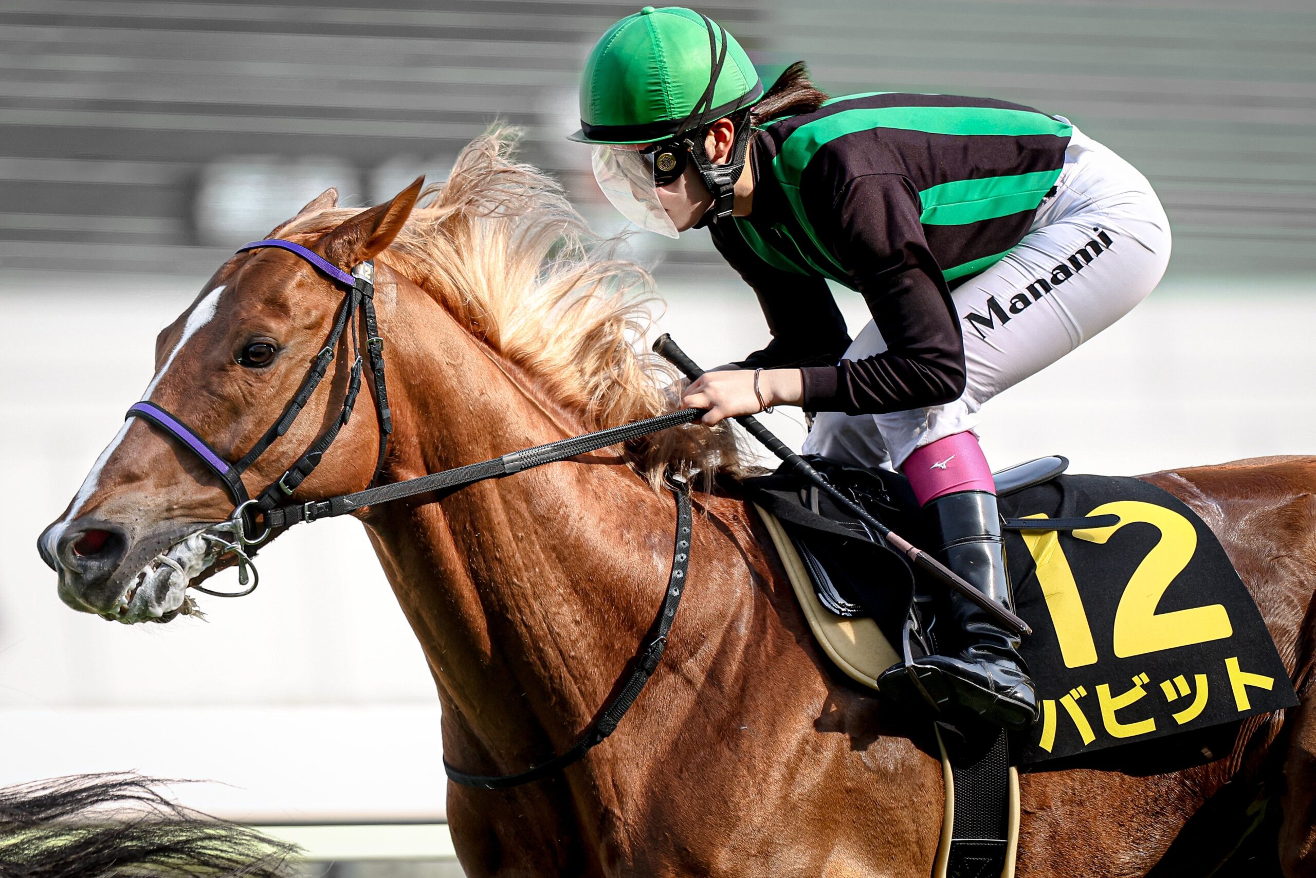 陽だまりの逃亡者。金色の季節を走り抜けたバビットの引退に寄せて