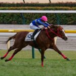 ［リーディング］川田騎手が土日で6勝　騎乗機会の連続連対も継続中　厩舎部門は昨年のリーディング覇者がトップタイに