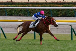 ［リーディング］川田騎手が土日で6勝　騎乗機会の連続連対も継続中　厩舎部門は昨年のリーディング覇者がトップタイに