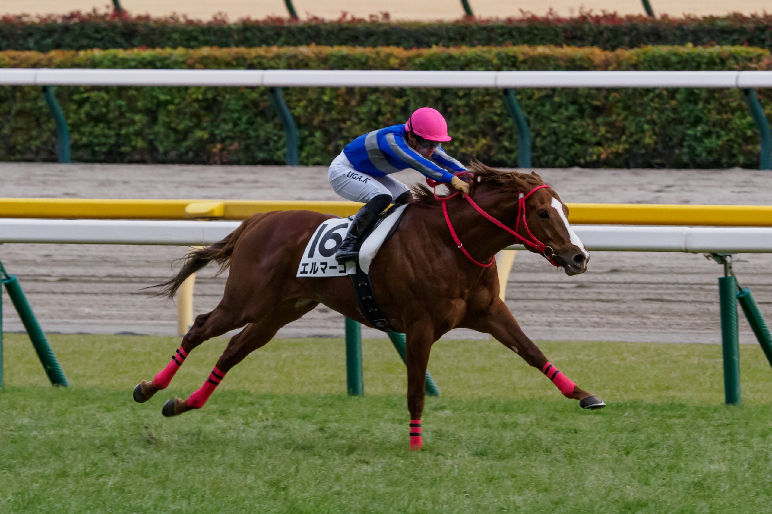 ［リーディング］川田騎手が土日で6勝　騎乗機会の連続連対も継続中　厩舎部門は昨年のリーディング覇者がトップタイに