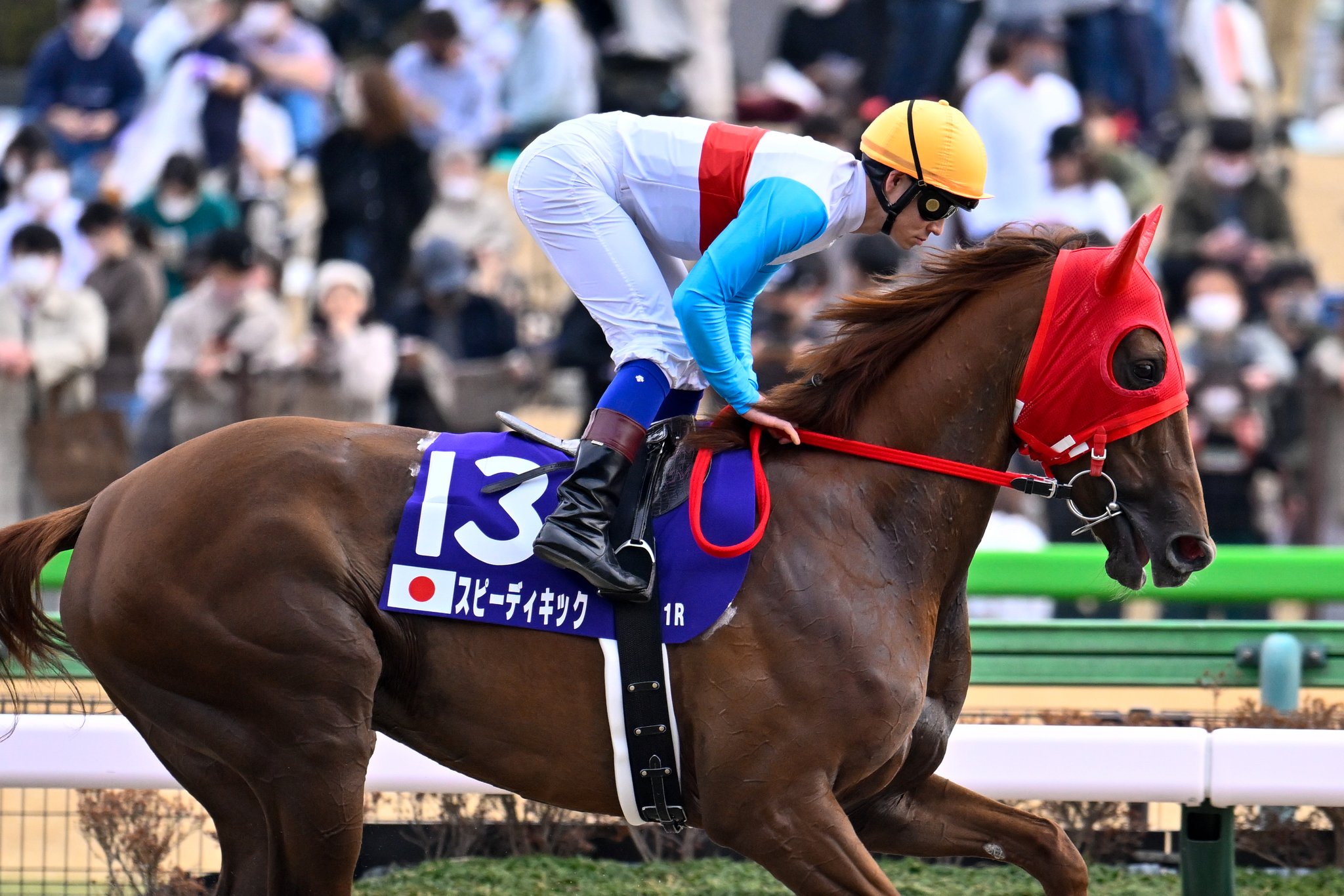 ［フェブラリーS］地方から中央に挑め！　各地から集った砂の猛者たちの挑戦を振り返る