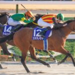 ［重賞回顧］府中の王者・コスタノヴァ、復活のG1連覇！～2026年・フェブラリーステークス～ 