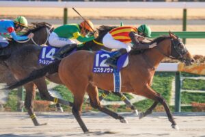 ［重賞回顧］府中の王者・コスタノヴァ、復活のG1連覇！～2026年・フェブラリーステークス～ 