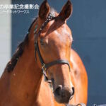 ［連載・片目のサラブレッド福ちゃんのPERFECT DAYS］チーム福ちゃんの皆さまからの寄せ書き（シーズン2-5）