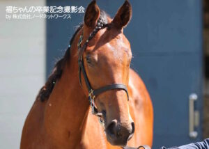 ［連載・片目のサラブレッド福ちゃんのPERFECT DAYS］チーム福ちゃんの皆さまからの寄せ書き（シーズン2-5）